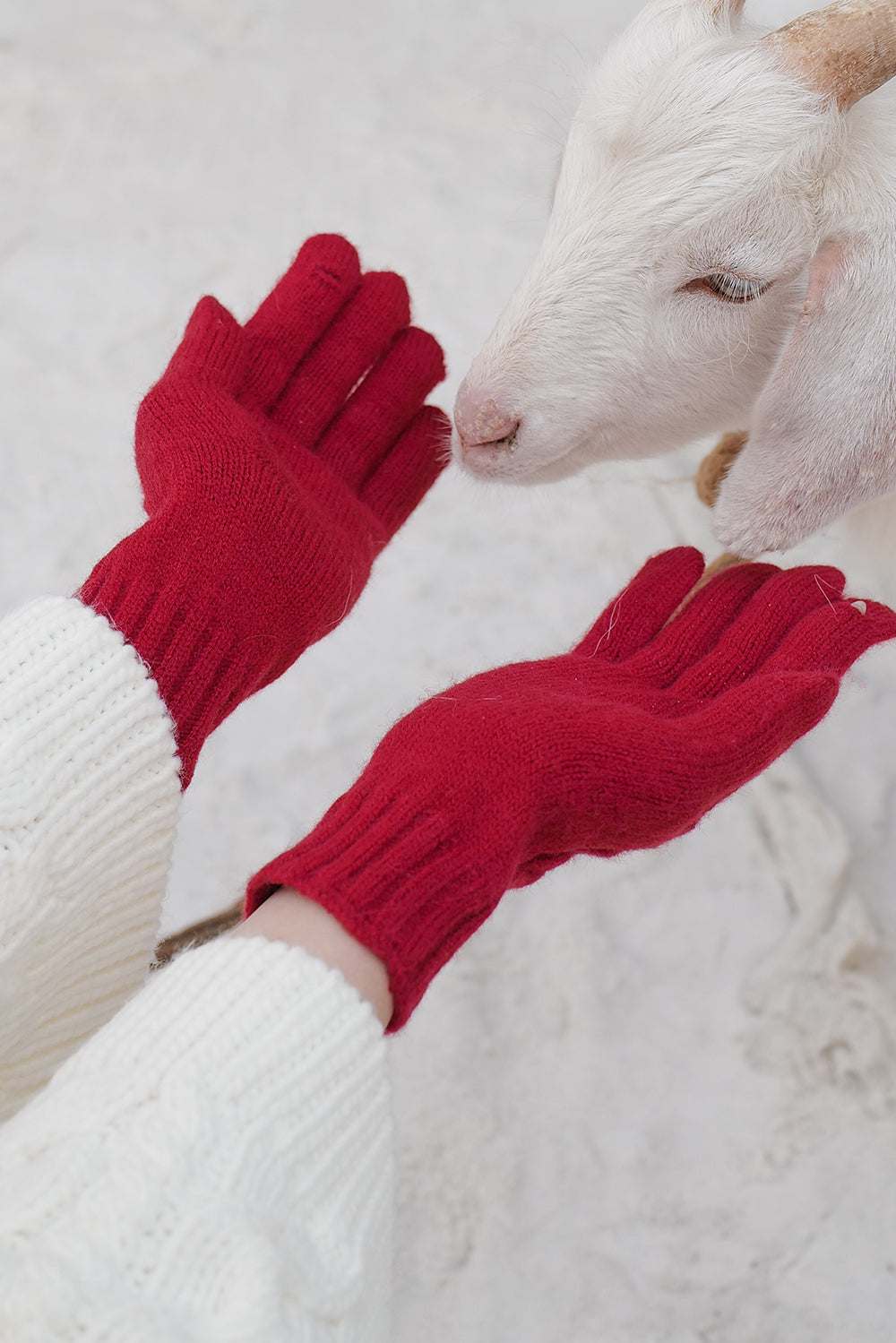 Soft Touch Gloves (柔軟針織手套)